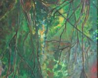 On the trail of light